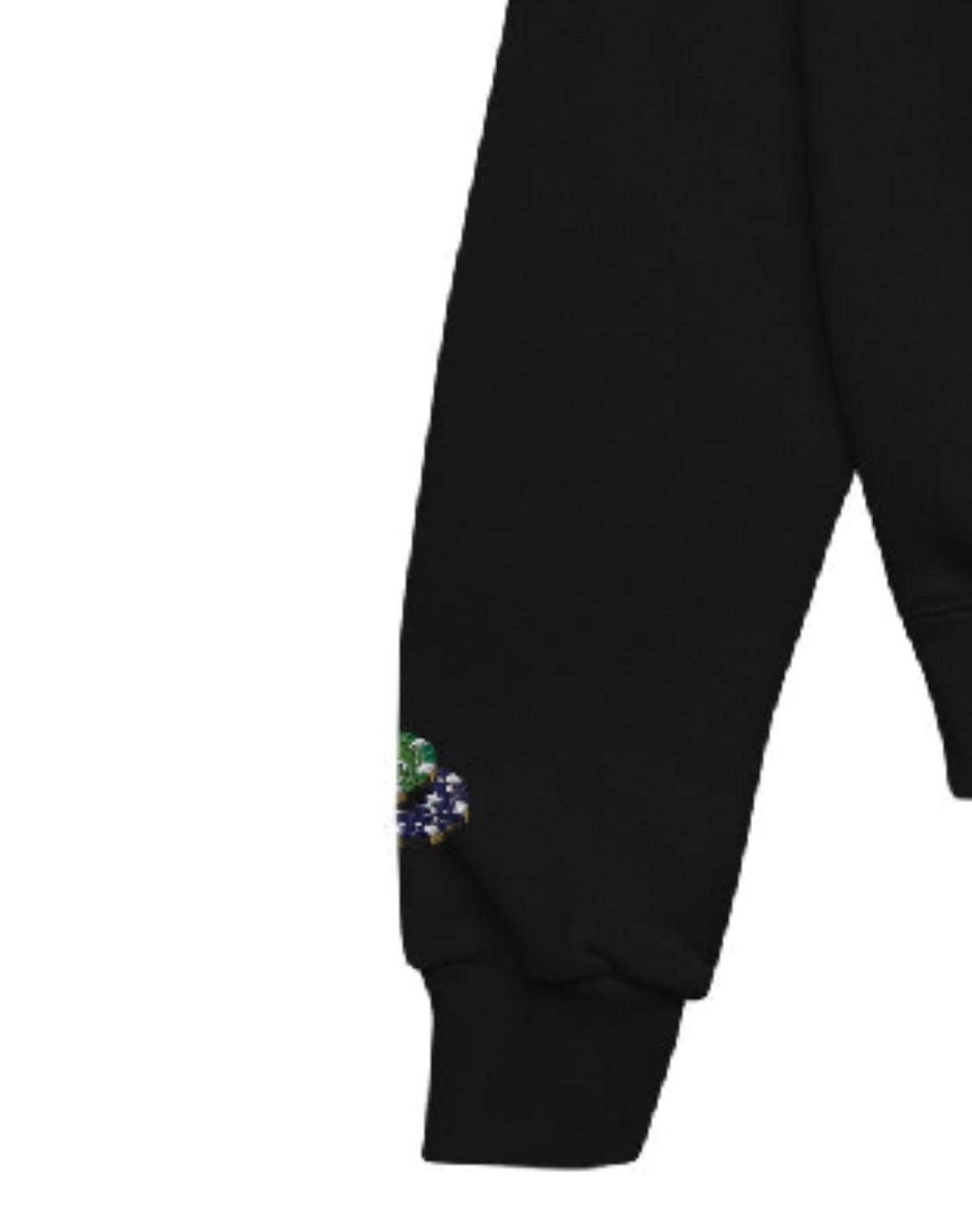 TrimXChampion Embroidered hoodie